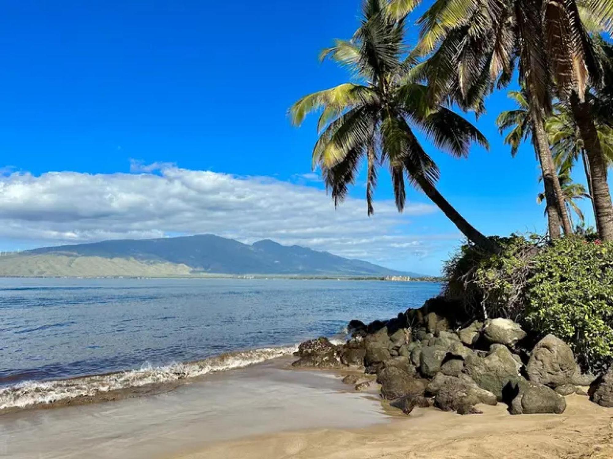 Cozy Maui Studio Retreat Just Steps To The Sand! Kihei Dış mekan fotoğraf